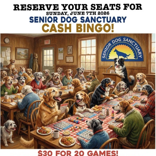 Summer Bingo - 06.07.26 - logo